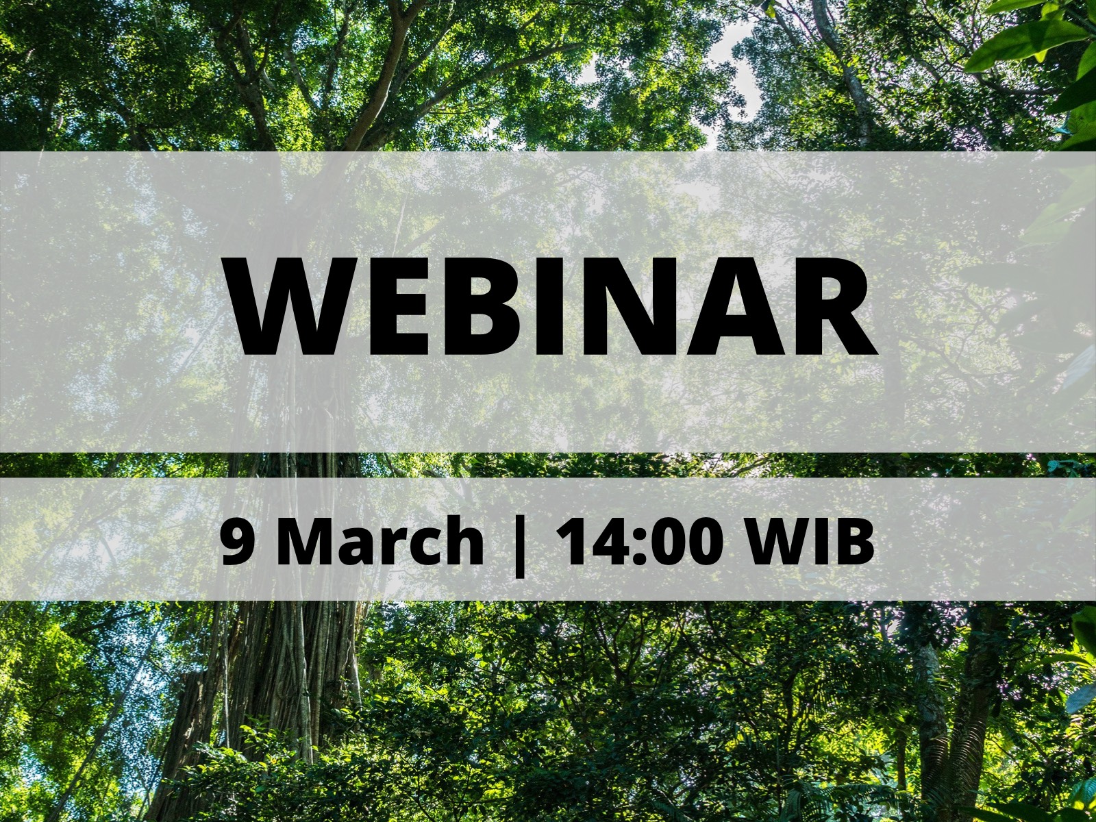 9DDB428F C0F4 42FB 81E6 FD8F78C87FDD